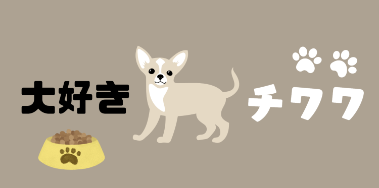 大好きチワワ